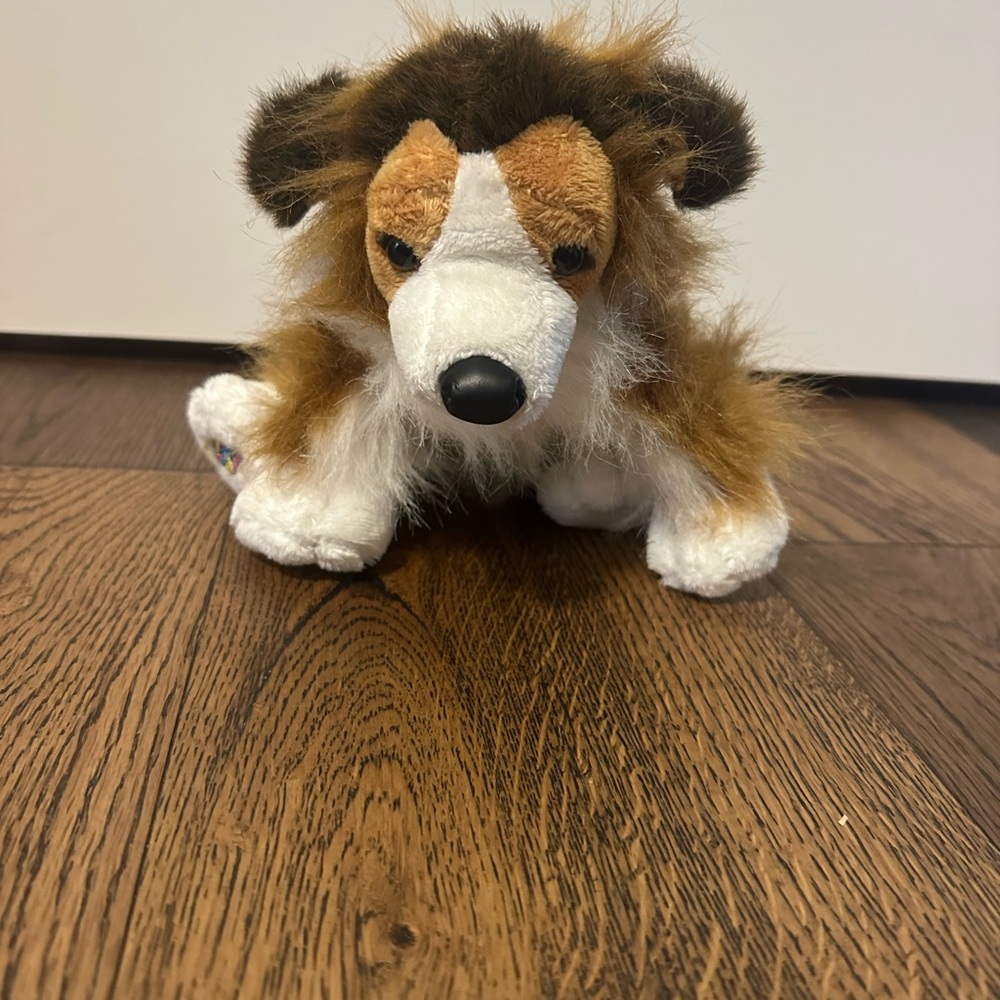 Webkinz Collie